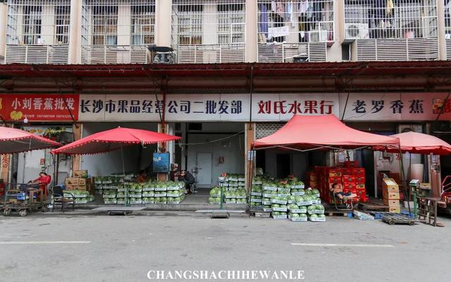 走遍长沙水果批发市场！最便宜的水果，原来都在这