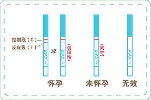 如何判断是否怀孕？怎样准确判断怀孕了？