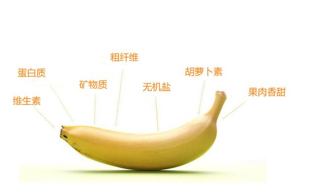 香蕉不能和什么一起吃（香蕉功效及作用有哪些
