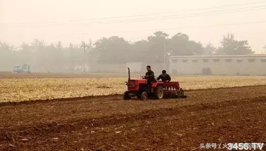 2018小麦什么时候播种，怎么播种，注意事项（含小麦播种时间表）