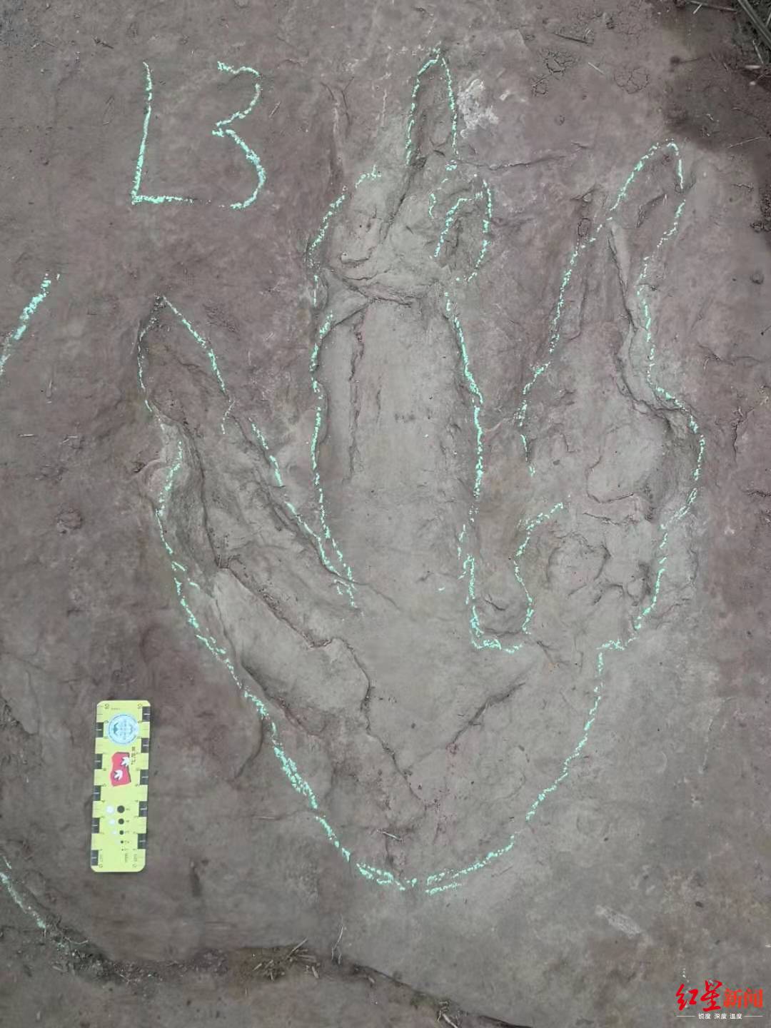 四川发现巨大恐龙足迹怎么回事？四川发现巨大恐龙足迹图片曝光