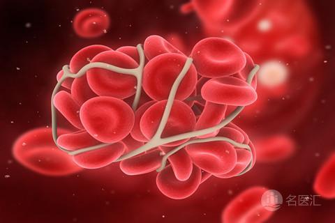 血细胞在人体内起什么作用