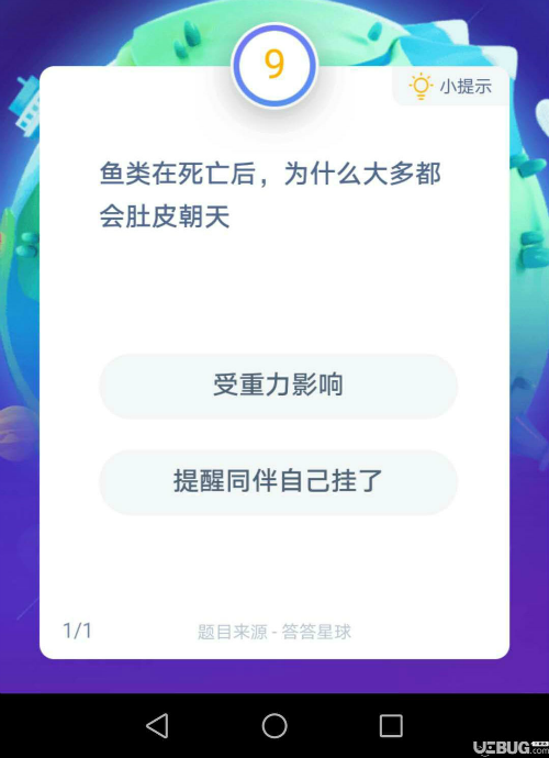 为什么鱼类死亡后大多会肚皮朝天？受重力影响提醒同伴自己挂了