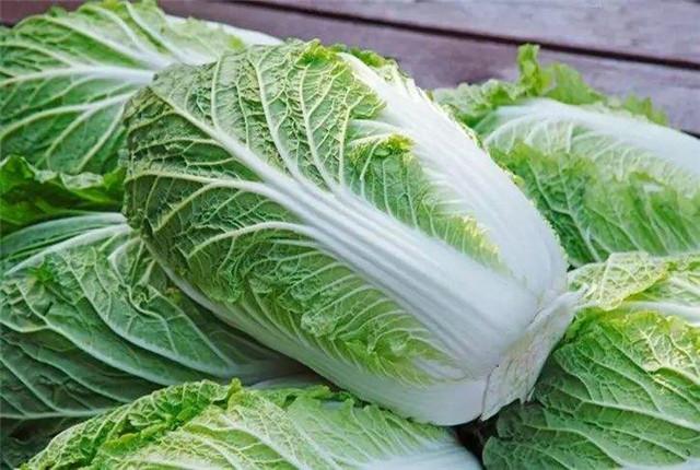 大白菜种植，怎样种植出优质大白菜，优质大白菜种植管理技术