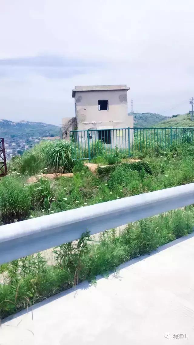 旅游｜如若错过，后会无期——东极岛旅游小记（附旅游攻略）