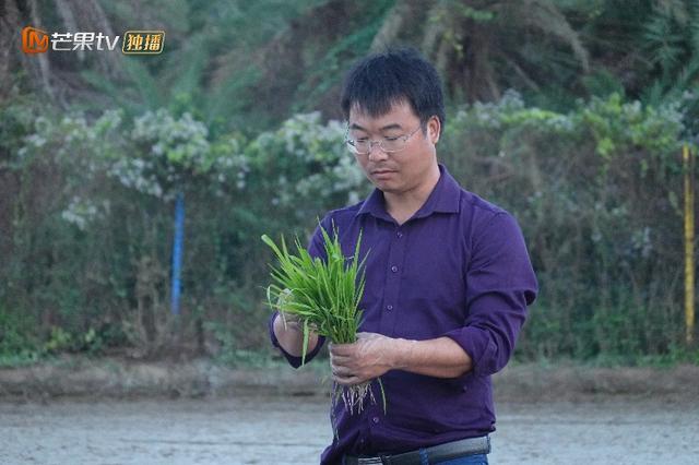 中国杂交水稻新力量！《闪耀的平凡》走近袁隆平的