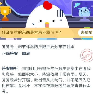 狗狗身上调节体温的汗腺主要分布在哪里？舌头还是脚底 蚂蚁庄园7.2