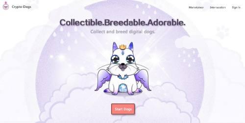 加密狗：以太坊养狗（CryptoDogs）新手教程