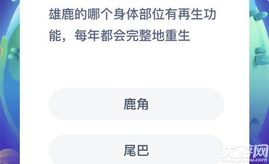 雄鹿的哪个身体部位有再生功能？蚂蚁庄园8月21日答案