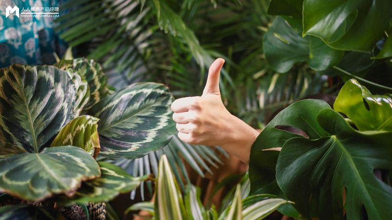 脑洞：评分系统应用到社交场景中的几个猜想