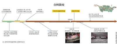 长江白鲟已灭绝！中国淡水鱼之王长江白鲟宣告灭绝 2003年曾发现长江白鲟