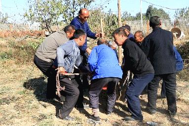 夯实是什么意思（夯实基础）