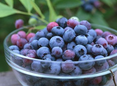孕妇蓝莓一次吃很多会怎样 蓝莓一天吃多少为宜