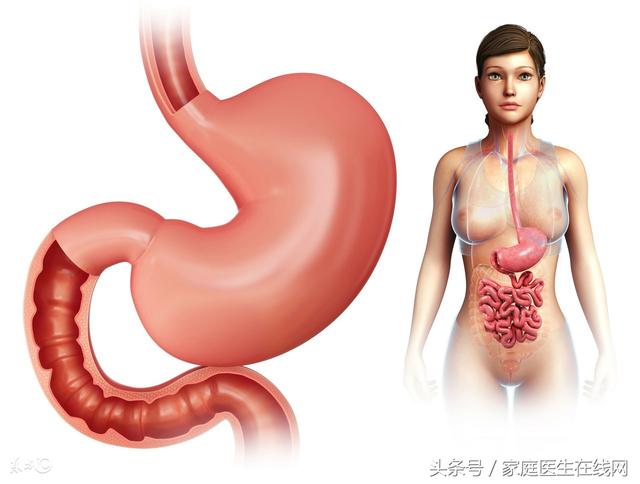 经常胃胀气怎么办？这4个妙招，快速排气很轻松