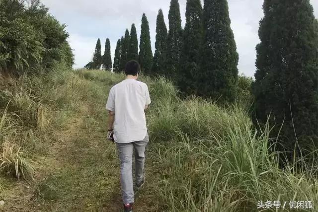 喜茶的价格贵吗？一杯四季春卖斋茶为什么可以卖19元？