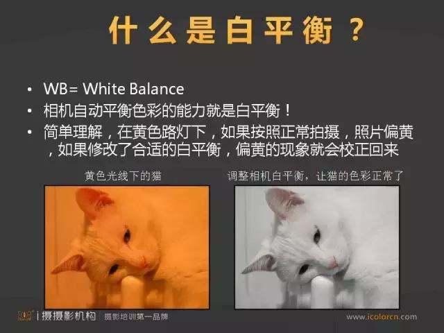 什么是白平衡（白平衡有什么作用）