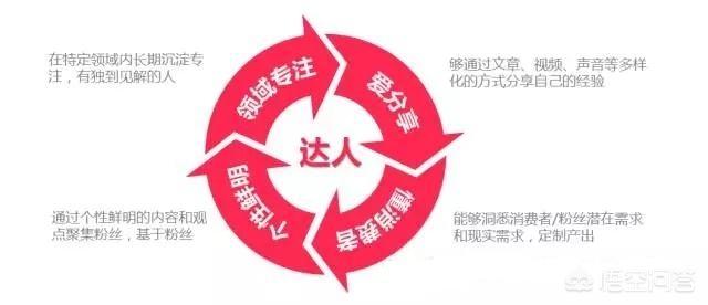 淘宝达人怎么申请（新手如何开淘宝直播）