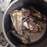 超简单吃海蛎子（牡蛎、蚝）的方法的做法步骤