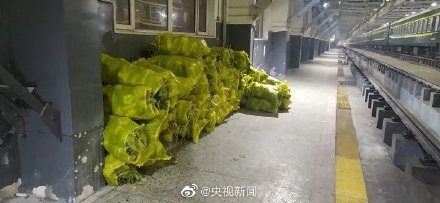 沈阳向武汉运130吨大白菜什么情况 沈阳向武汉运130吨大白菜照片曝光