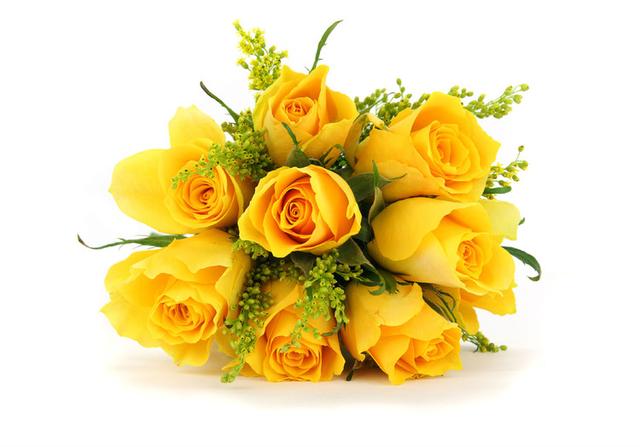 黄玫瑰介绍及花语，玫瑰系列之黄玫瑰，送给友情的花