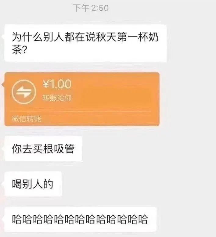 为什么刷爆伴侣圈的是秋天的第一杯奶茶，而不是第一条秋裤？