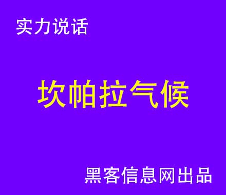 黑客QQ在哪里找-2000年黑客事件(中国10大著名黑客事件)