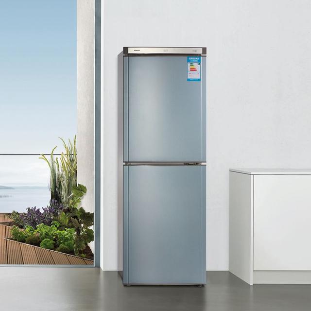 2019年最新冰箱品牌排行榜，海尔、西门子、美的，哪个更好用？