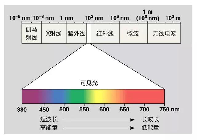 防蓝光眼镜真能护眼？是忽悠还是神器，听听权威怎么说