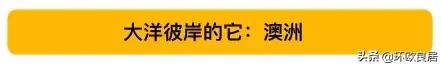 最新世界大学排行榜只看见美英屠榜？被你忽略的那些才是真相