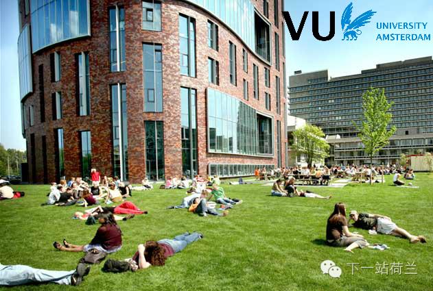 阿姆斯特丹自由大学往年排名多少（阿姆斯特丹