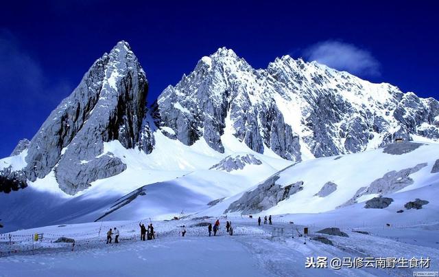 要去丽江玉龙雪山旅游的朋友们可以看看哟