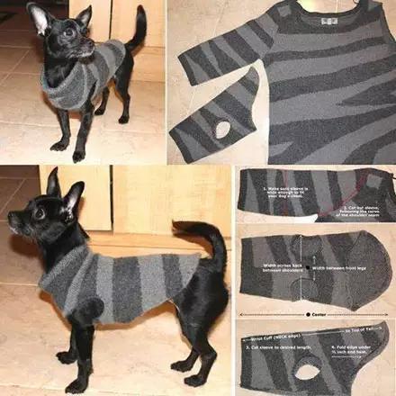 利用丢弃的衣服，给狗狗做一件独一无二的衣服！