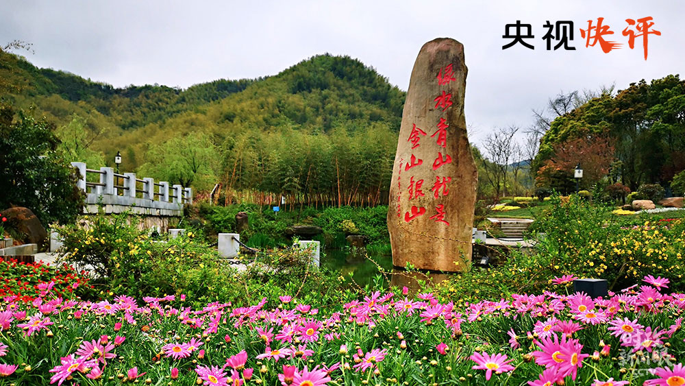 【央视快评】人不负青山 青山定不负人