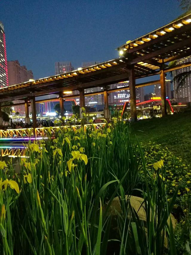 号称亚洲神盘的中国第一大盘，贵阳花果园的“白宫”夜景真心美