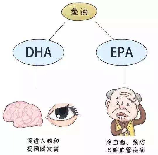 鱼油和鱼肝油的本质区别是什么？看完这篇你就不会再给宝宝乱吃了