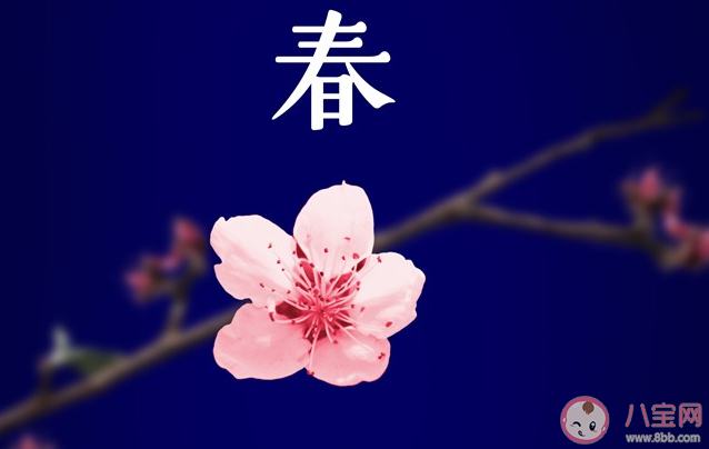 2020适合立春发朋友圈句子 立春带字配图文案说说大全