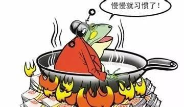 当65度时所有青蛙都跳出来了，“温水煮青蛙”原来是一场骗局