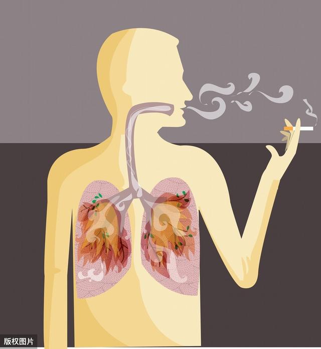 有人一直吸烟，肺干干净净，有人从不吸烟，却查出肺癌？
