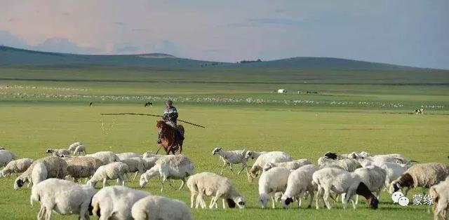 内蒙古旅游注意事项？去内蒙古旅游要注意的问题