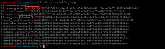 image-20210225135147918