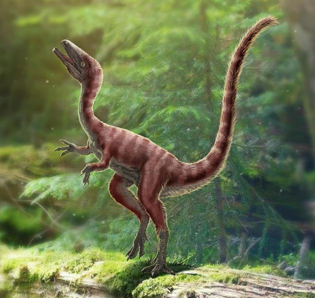 发现恐龙新物种是什么？河北发现1.2亿年前恐龙新物种是什么样的图片