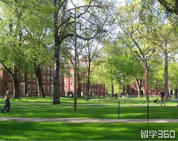哈佛大学的入学条件，看看你符合吗？