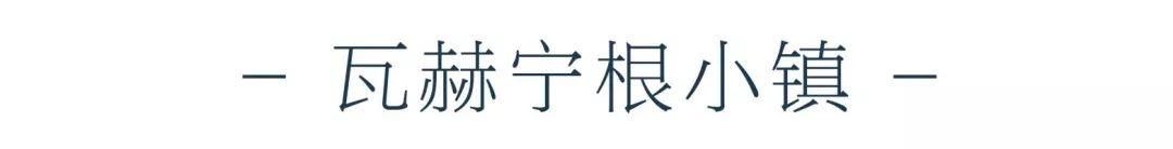 悠悠岁月，百年历史，回顾荷兰瓦赫宁根大学建校100周年！