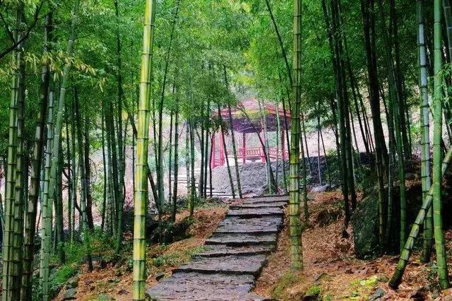 太全了！宁波最适合一日游的免费景点，够你任性玩一年！