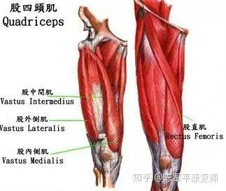 老年人膝关节疼痛是怎么回事（这样训练绝对有