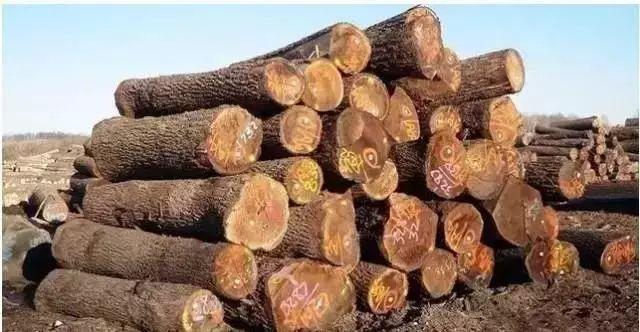 实木家具买哪种木材好？8种常见木材种类详细介绍