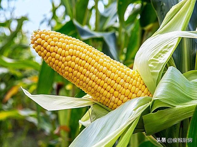 买玉米时，“黄色”和“白色”的哪个营养更高？