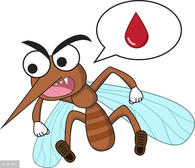 很多人不懂蚊子怕什么，教你一个土办法，10分钟把蚊子消灭干净