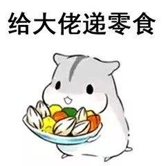 养仓第3步：仓鼠饮食大全，再也不怕养不活了