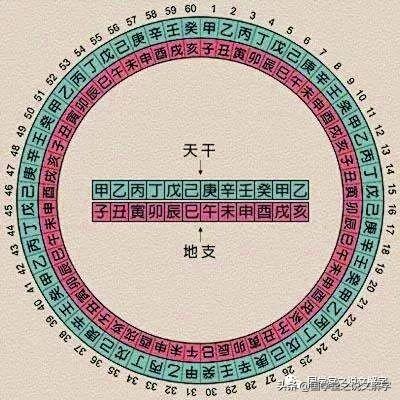 说文解字：“甲、乙、丙、丁、戊、己、庚、辛、壬、癸”